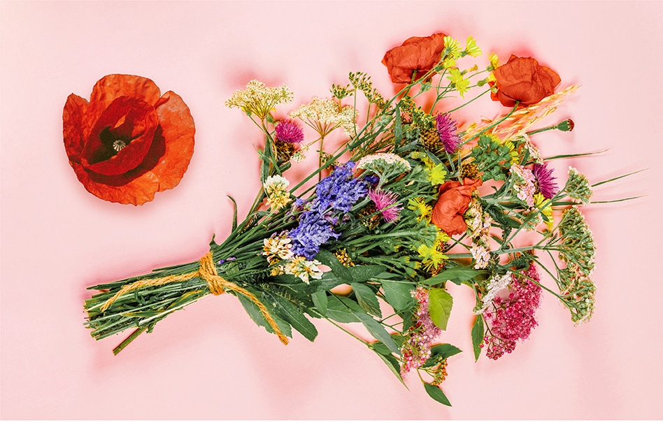 A bundled bouquet of wild flowers which includes red poppies, yarrow, clover, dried grass, and several other types of blooms.
