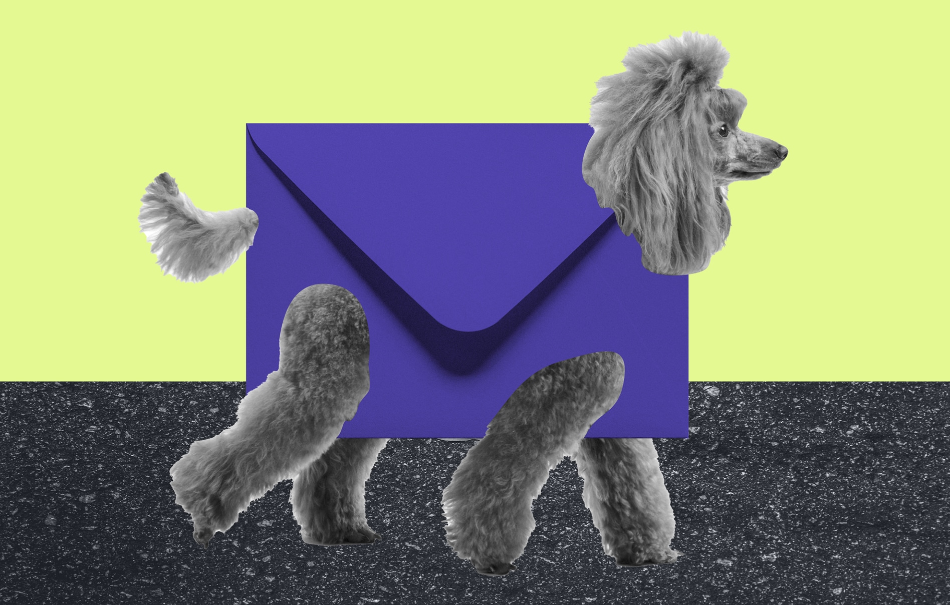 Image of a dog with the body of a mailing envelope