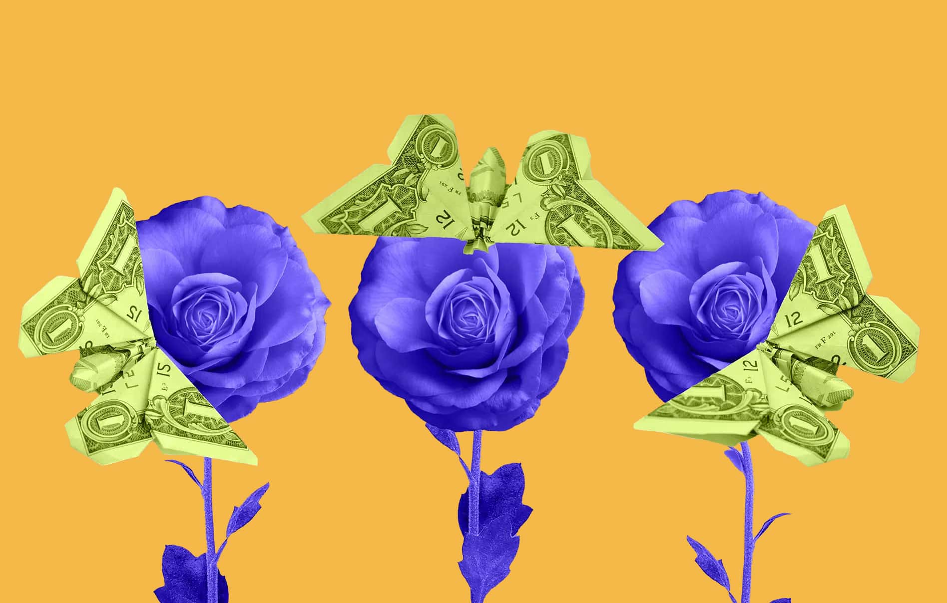 Three roses each with a dollar bill folded into a butterfly