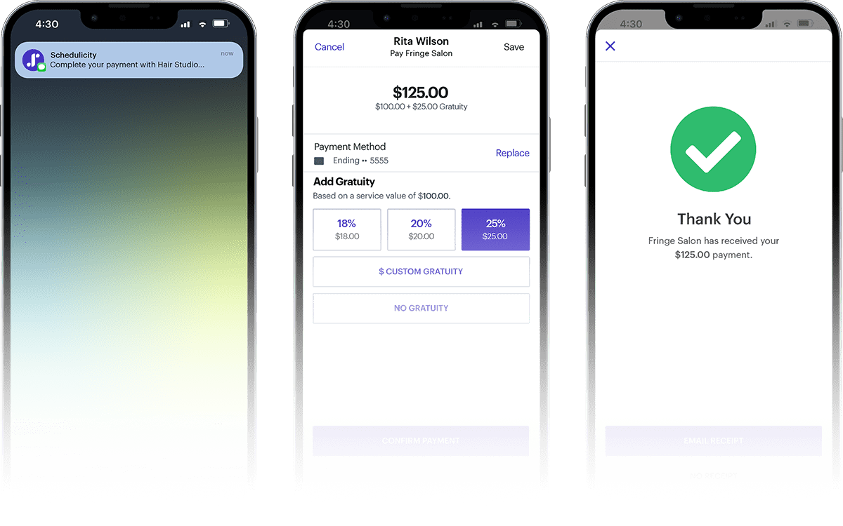 Example of pay-by-text checkout process over phone